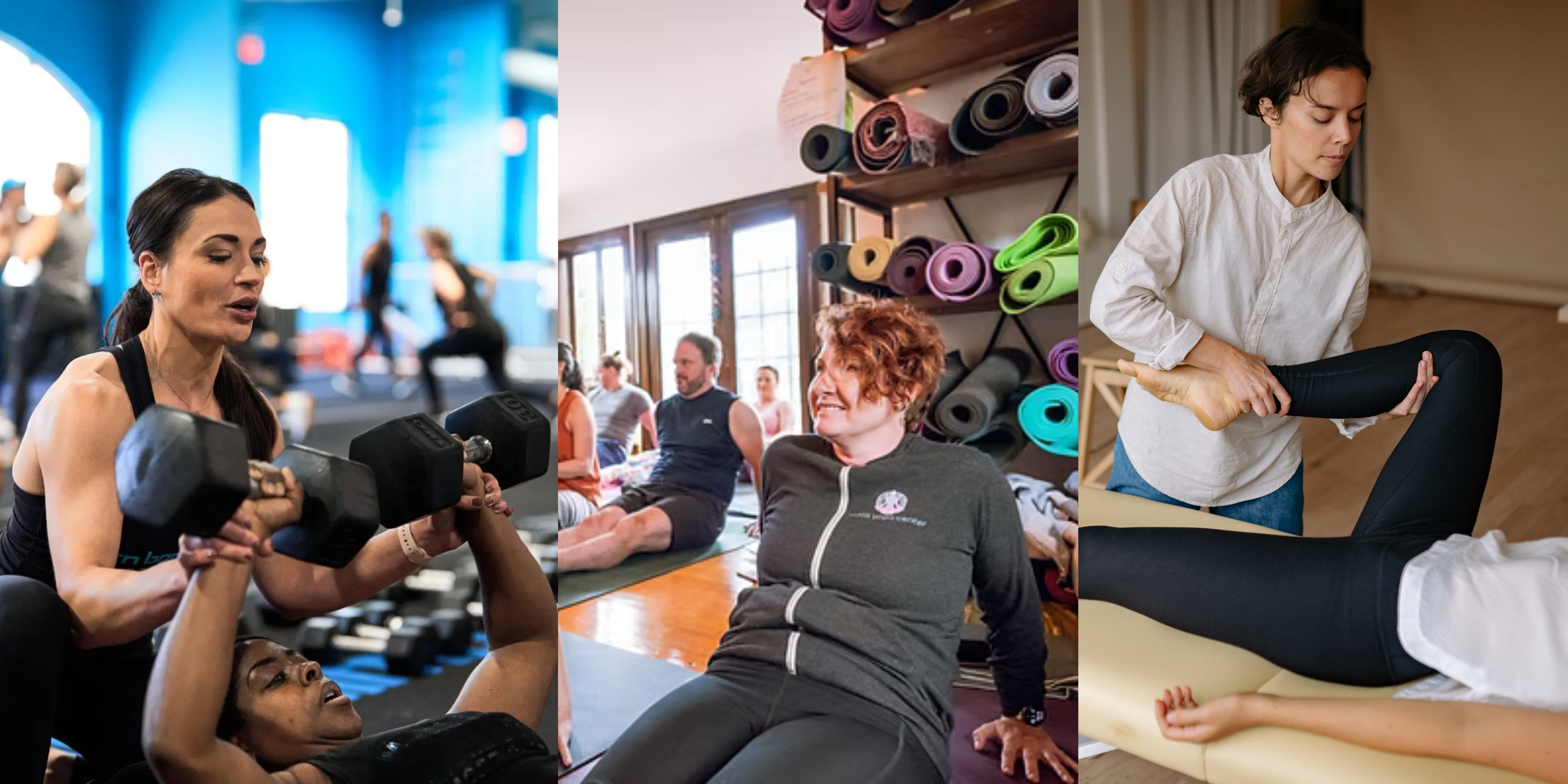Fitness & Wellness (3)